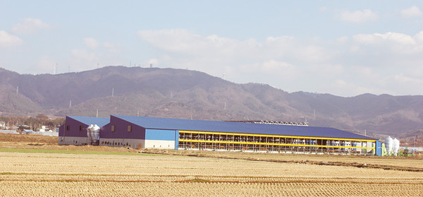 삼호읍 대불산단 인근 농지에 설치된 태양광발전시설과 논 한가운데 들어선 축산시설. 최근 수년 사이 태양광 발전 시설과 축산 시설들이 무차별적으로 들어서면서 영암군의 우량 농지가 사라지고 있다.