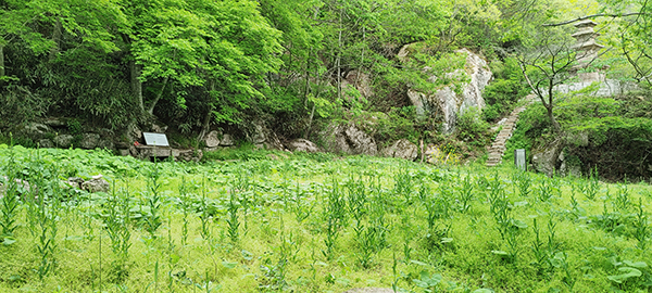 잡초만 무성한 용암사 터 / 한때 호남 제일의 암자였던 용암사지 전경. 지금은 주춧돌만 나뒹굴고 잡초만 무성하다. 바위 아래 우물과 동탑은 그대로 남아 옛 영화를 말해주고 있다. 용암사가 복원되는 날을 기다리고 있는 듯하다.