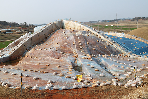 시종 태간리 장고분 / 화려했던 마한 왕국의 옛 모습을 확인할 수 있는 반남 고분군-옥야리 고분군-장동 방대형고분–쌍무덤–태간리 장고분–복암리 고분군. 사진은 왜색(倭色)이 짙은 전방후원분(前方後圓墳)의 독특한 양식의 무덤이 확인된 시종 태간리 장고분 발굴현장.