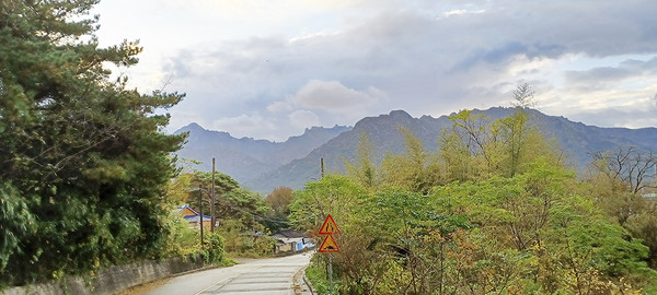 오산마을 뒷쪽 고갯길에서 내려다본 월출산 전경. 오산마을에서는 월출산 전경을 한 눈에 바라볼 수 있는데 마을회관에서 바라보는 풍경이 일품이다. 