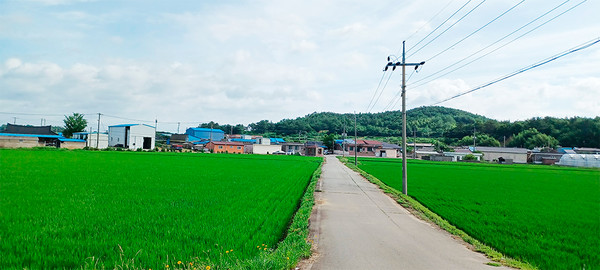 신마산 초입에서 바라본 마을 전경 / 마을 뒤로 마봉(馬峯)이라고 부르는 작은 봉오리가 보인다. 아래 사진은 마을입구에 세워진 표지석.