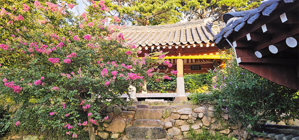 간죽정 전경 – 군서면 죽정서원길 19번지에 자리하고 있는 간죽정은 구림마을에서 현존하는 정자 중 가장 오래된 정자이다. 함양인 오한공 박성건이 1479년에 창건했으며, 1571년, 1768년, 1899년, 1969년 네 차례에 걸쳐 중수되었다. 쌍취정, 회사정, 죽림정, 총취정, 호은정 등 구림마을을 대표하는 정자들이 대부분 16세기 중반 이후에 지어진 반면에 간죽정은 비교적 이른 시기인 15세기에 지어졌다.