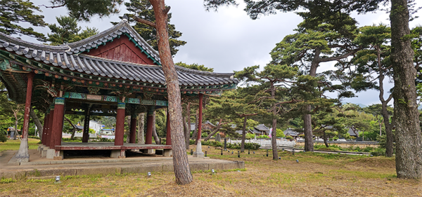 회사정과 서호사 총취정 전경. 소나무숲 사이로 바라보이는 다리를 건너면 태호 조행립을 배향한 서호사가 나온다. 회사정은 임구령의 장남인 남호처사 구암 임호(1522~1592)가 1565년에 지어 구림마을의 구심점 역할을 했지만 정유재란(1597) 때 병화를 입어 소실되었다. 그로부터 반세기가 지난 후, 태호 조행립(1580~1663)이 앞장서서 1640년 회사정을 중건하여 다시 명맥을 유지하게 되었다. 