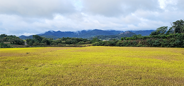 모정리 고분군(茅亭里 古墳群)이 발견된 장소. 서구림리 신흥동의 ‘비석거리’에서 모정리로 가는 비탈진 도로를 따라 약 300m 정도 올라가면 좌측에 조상현씨의 집이 있다. 유적은 바로 조 씨의 집 위쪽 저평한 구릉과 도로 우측의 구릉에 있다. 서쪽으로 은적산이 펼쳐져 있고, 그 앞으로 매향암각명이 있는 철암산 치마바위가 웅장한 모습을 드러낸다.