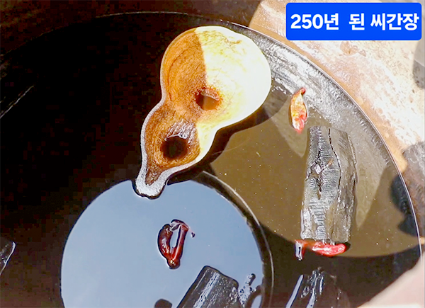 최태근 명장의 집 마당 장독대 항아리에 보관된 조상 대대로 전해 내려오는 씨간장. 250년이 넘었다고 한다.